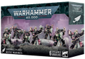Emperor's Children - Noise Marines