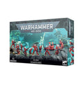 Aeldari - Storm Guardians