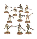 T'au Empire - Kroot Carnivores