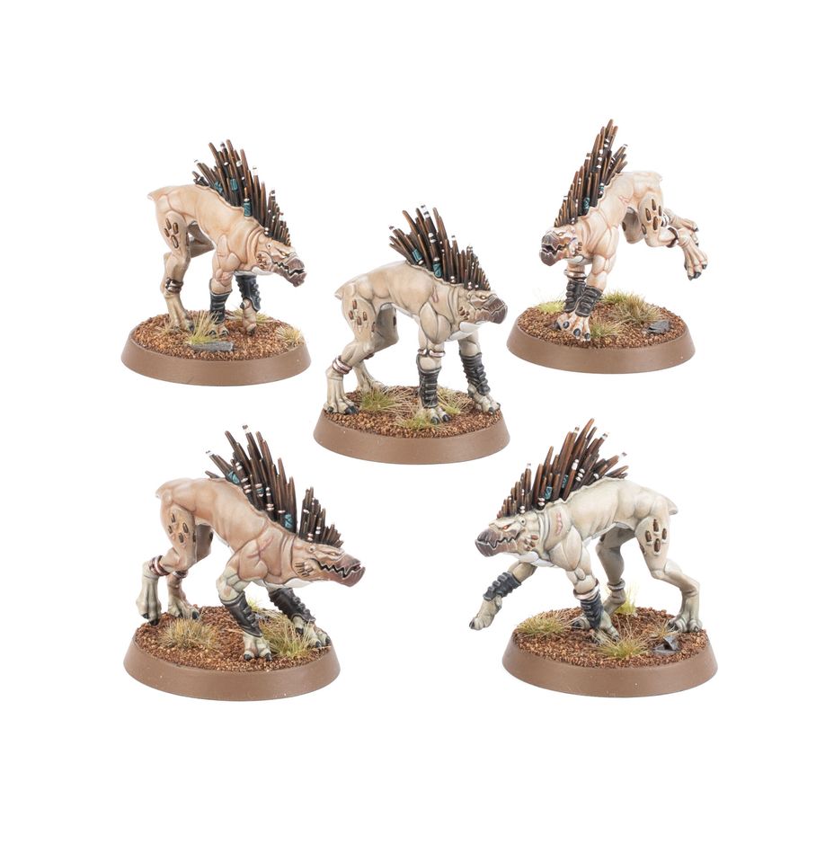 T'au Empire - Kroot Hound