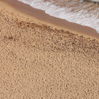 AK Interactive | Terrains - Beach Sand 250ml