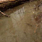AK Interactive | Water Gel Swamp Green 250ml
