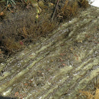 AK Interactive | Terrains - Wet Ground 250ml