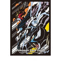 Pokemon Card Game | Japan-Exclusive Raikou Suicine Entei Sleeves (Pack of 64)